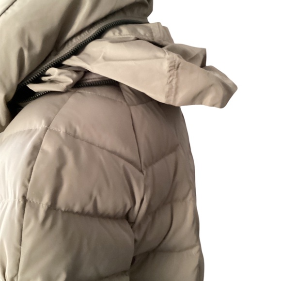 DKNY Puffy Jacket - Picture 8 of 10